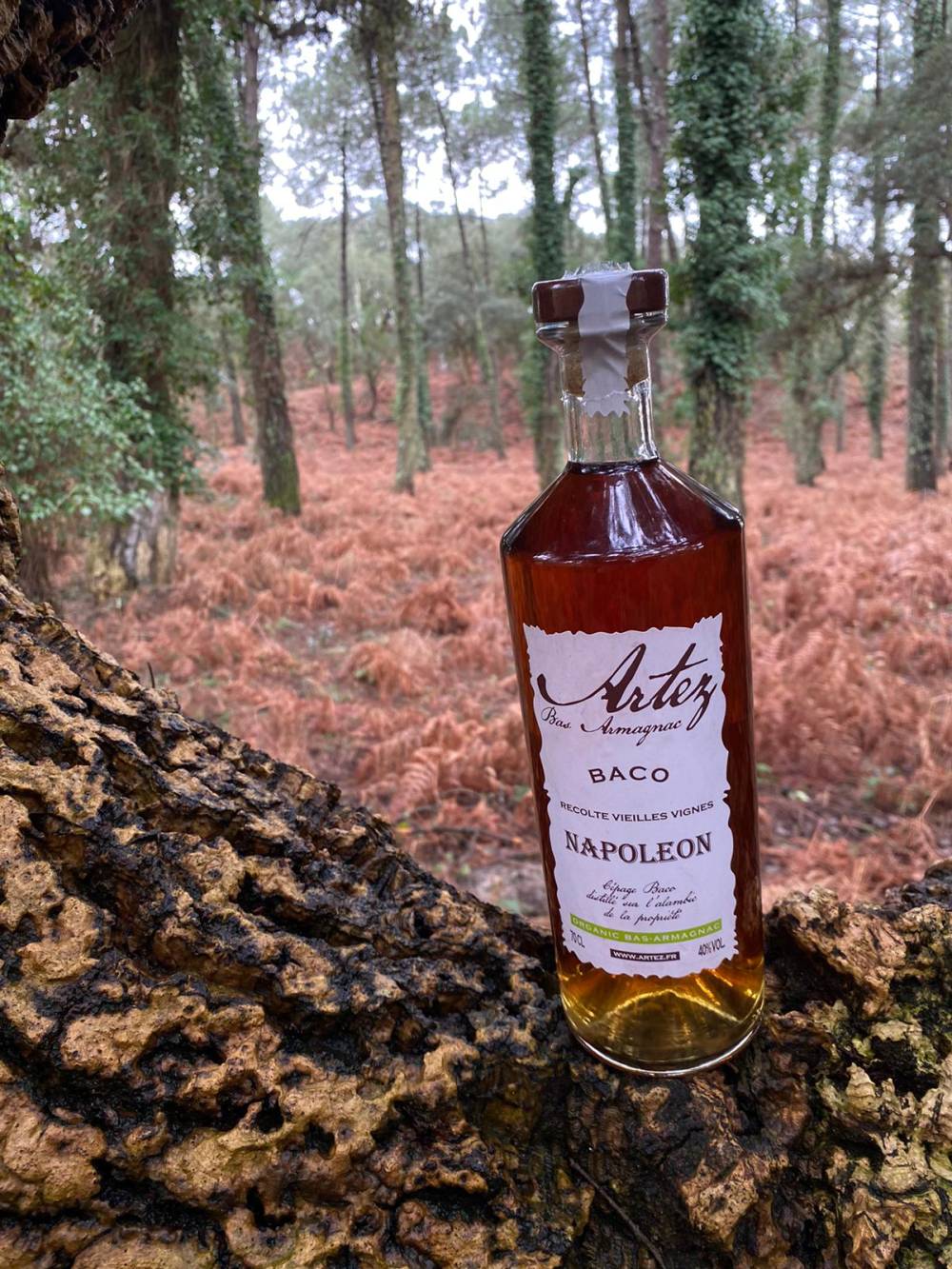 Producteur d'armagnac bio