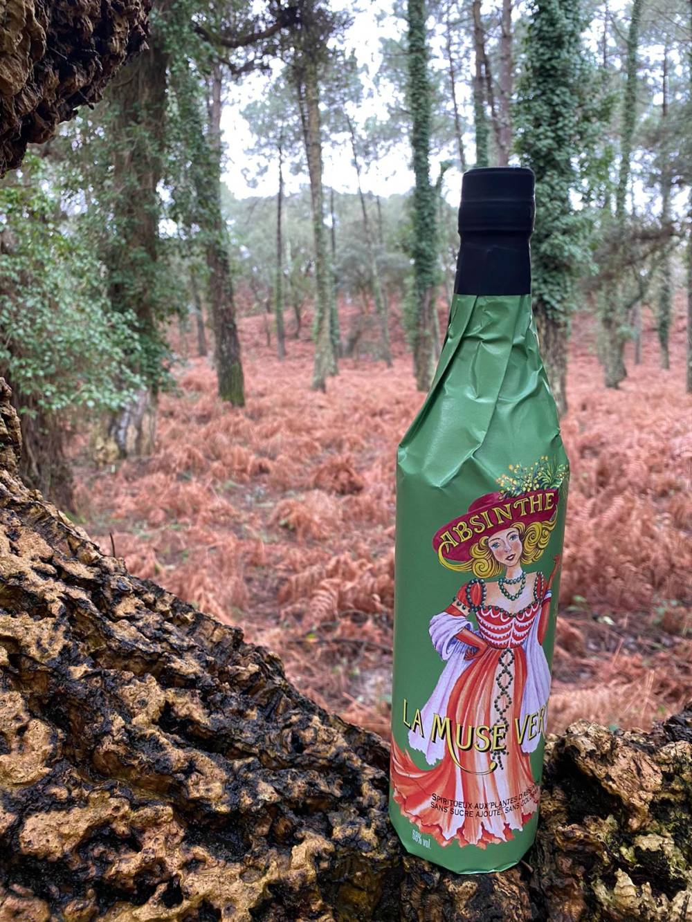 Absinthe local près de Pau